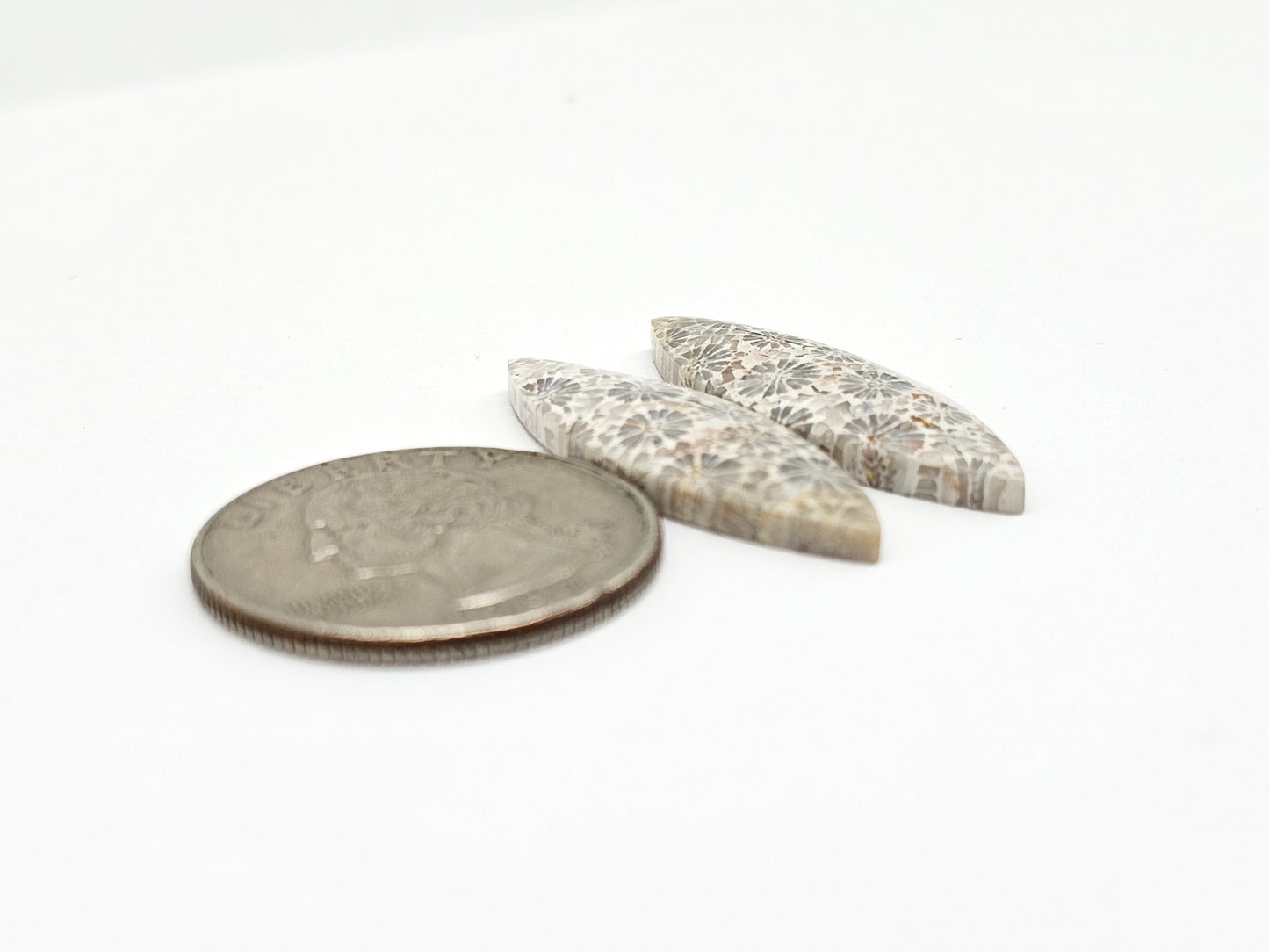 Fossilized Coral Agate Pair