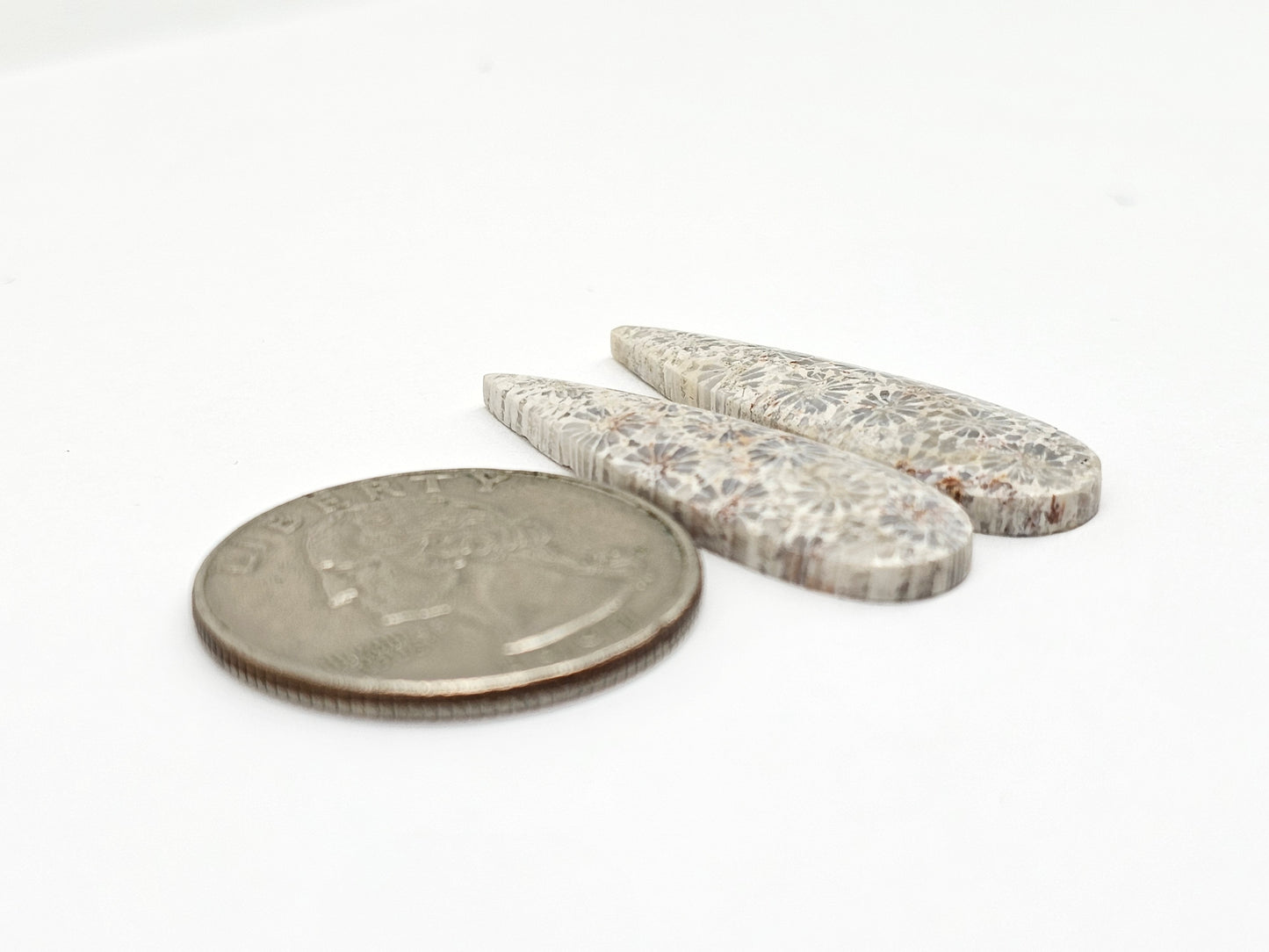 Fossilized Coral Agate Pair