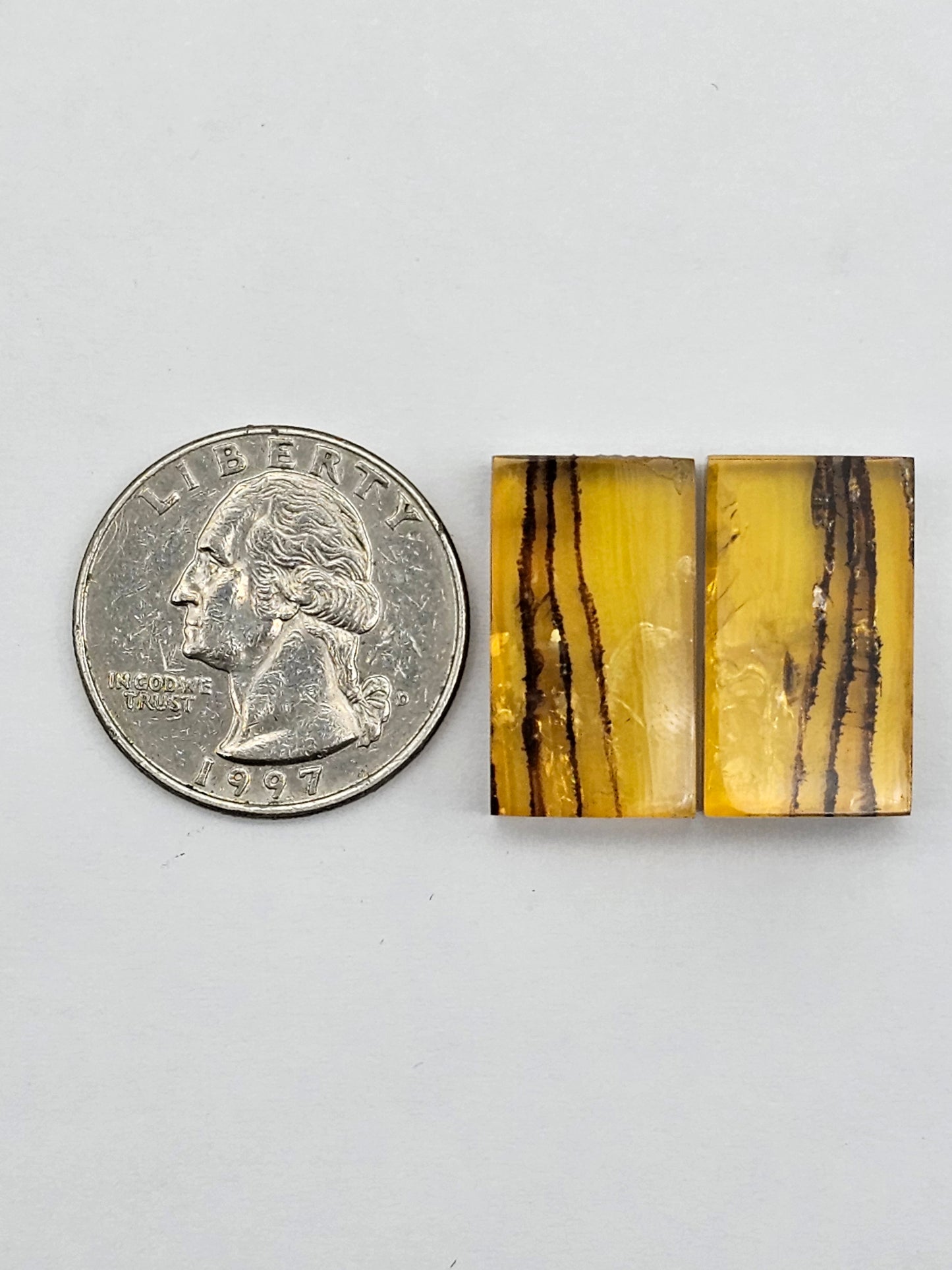Amber authentic cabochon pair large