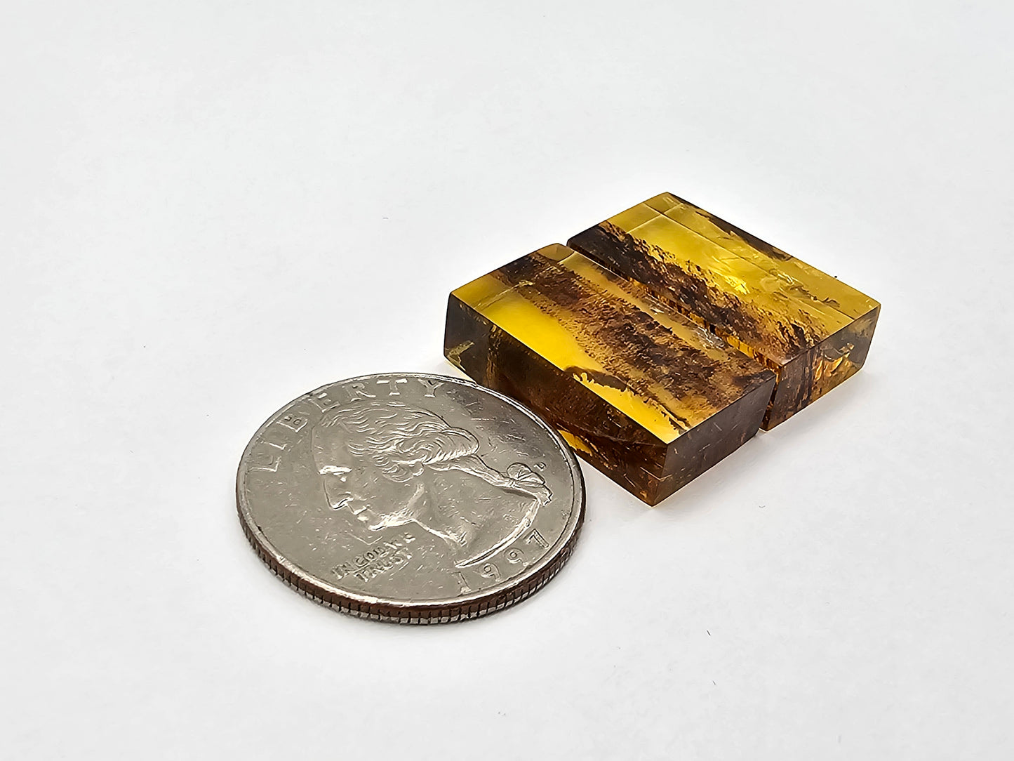 Amber authentic cabochon pair large