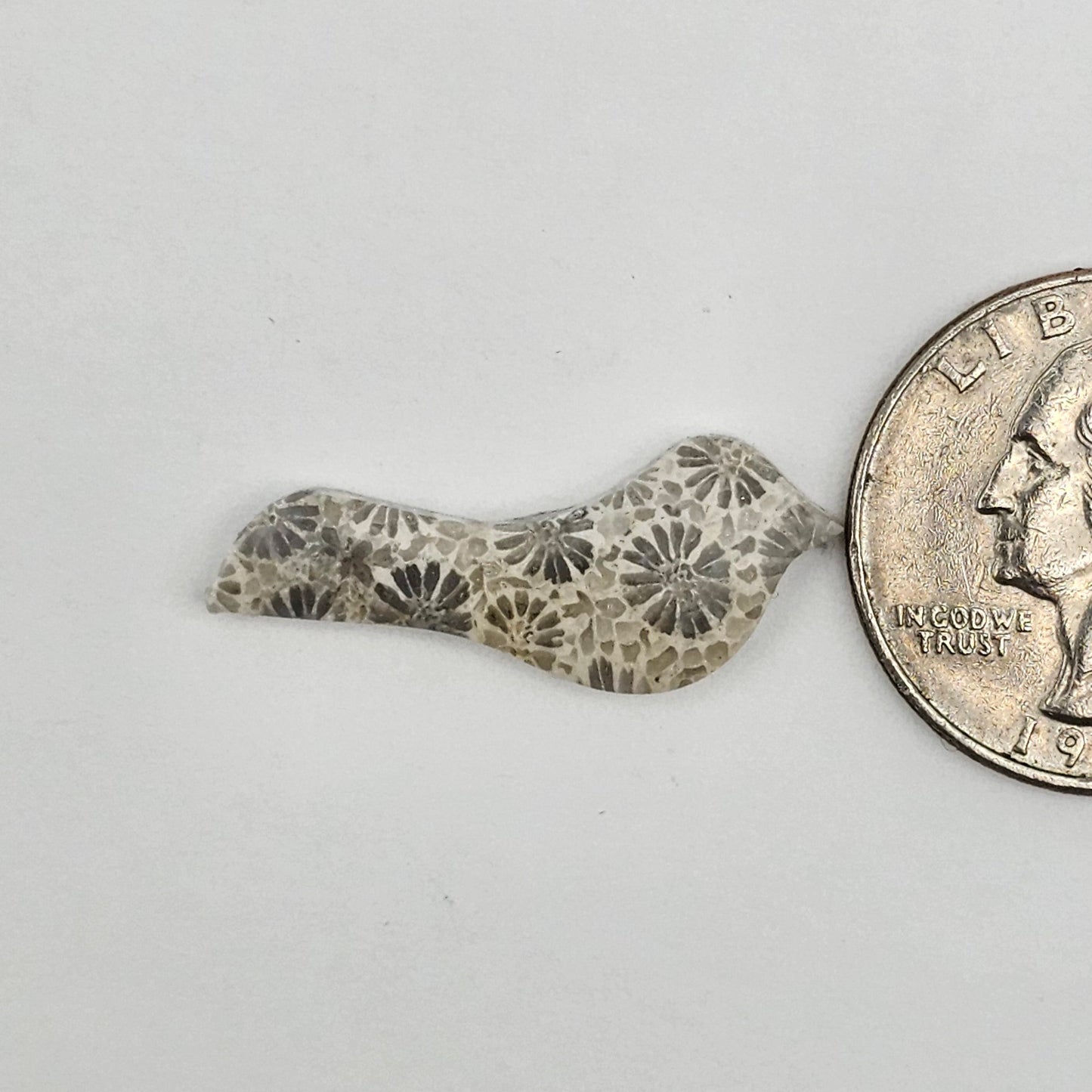 Fossilized Coral Bird Cabochon