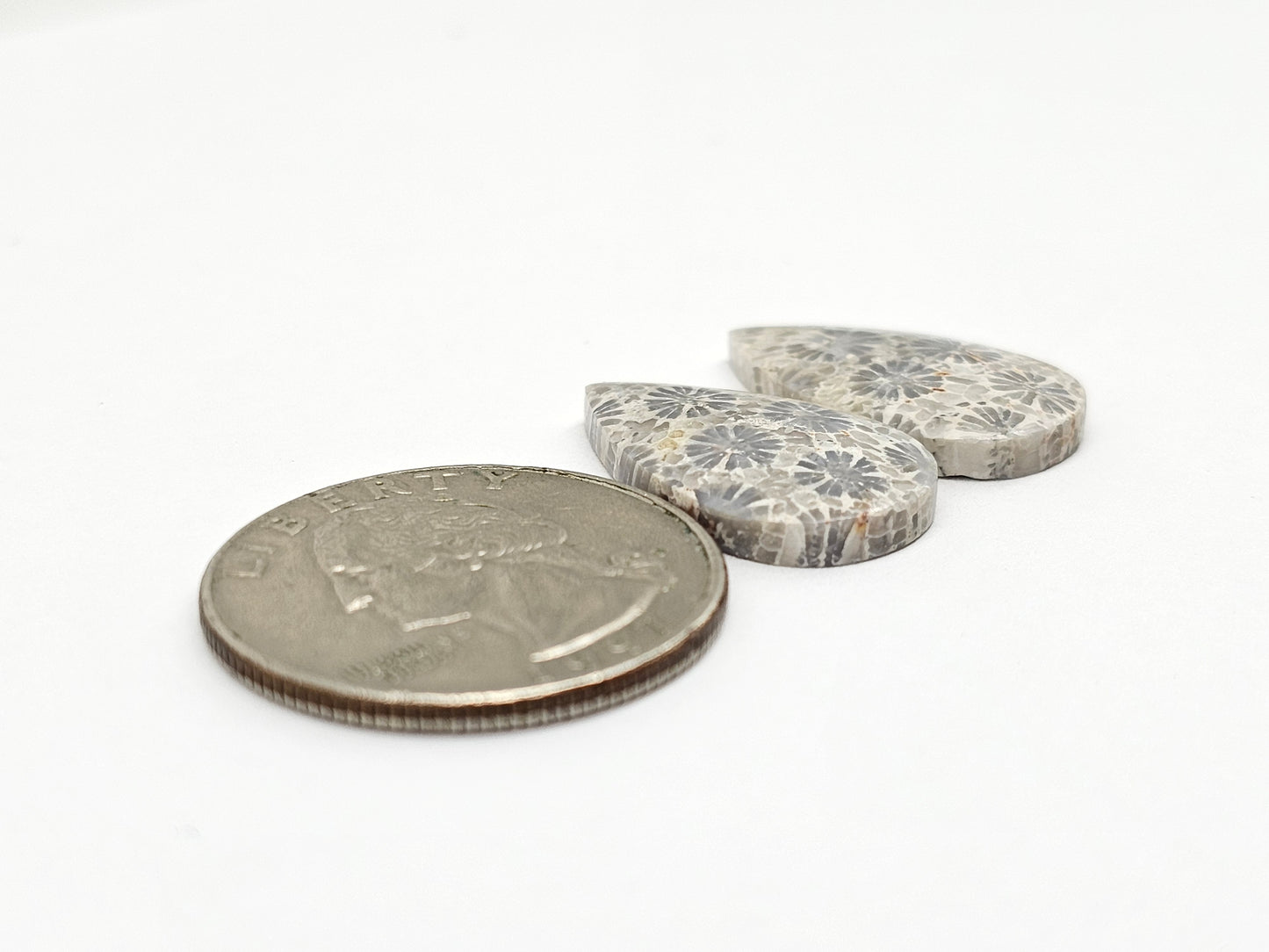 Fossilized Coral Agate Pair