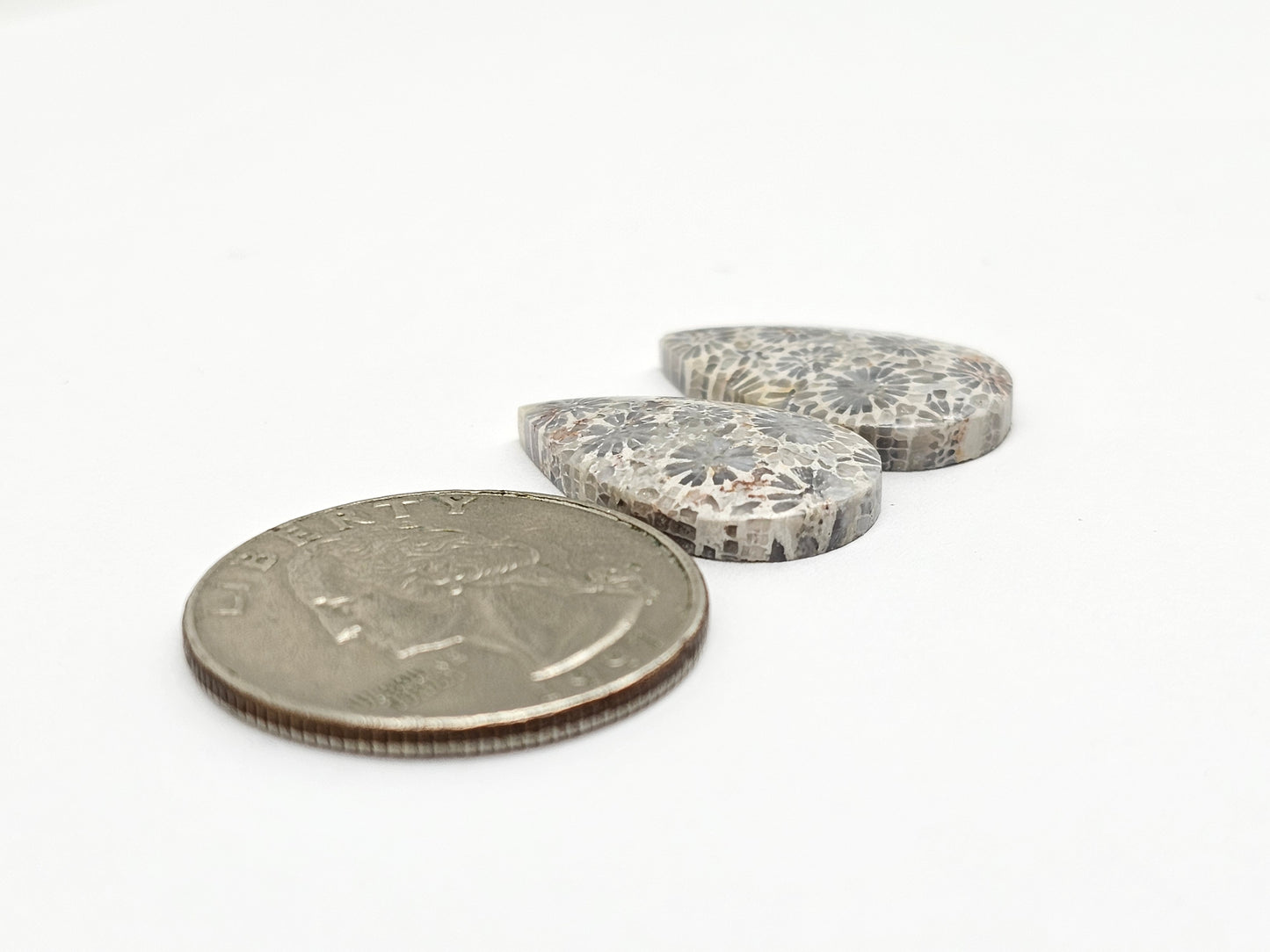 Fossilized Coral Agate Pair