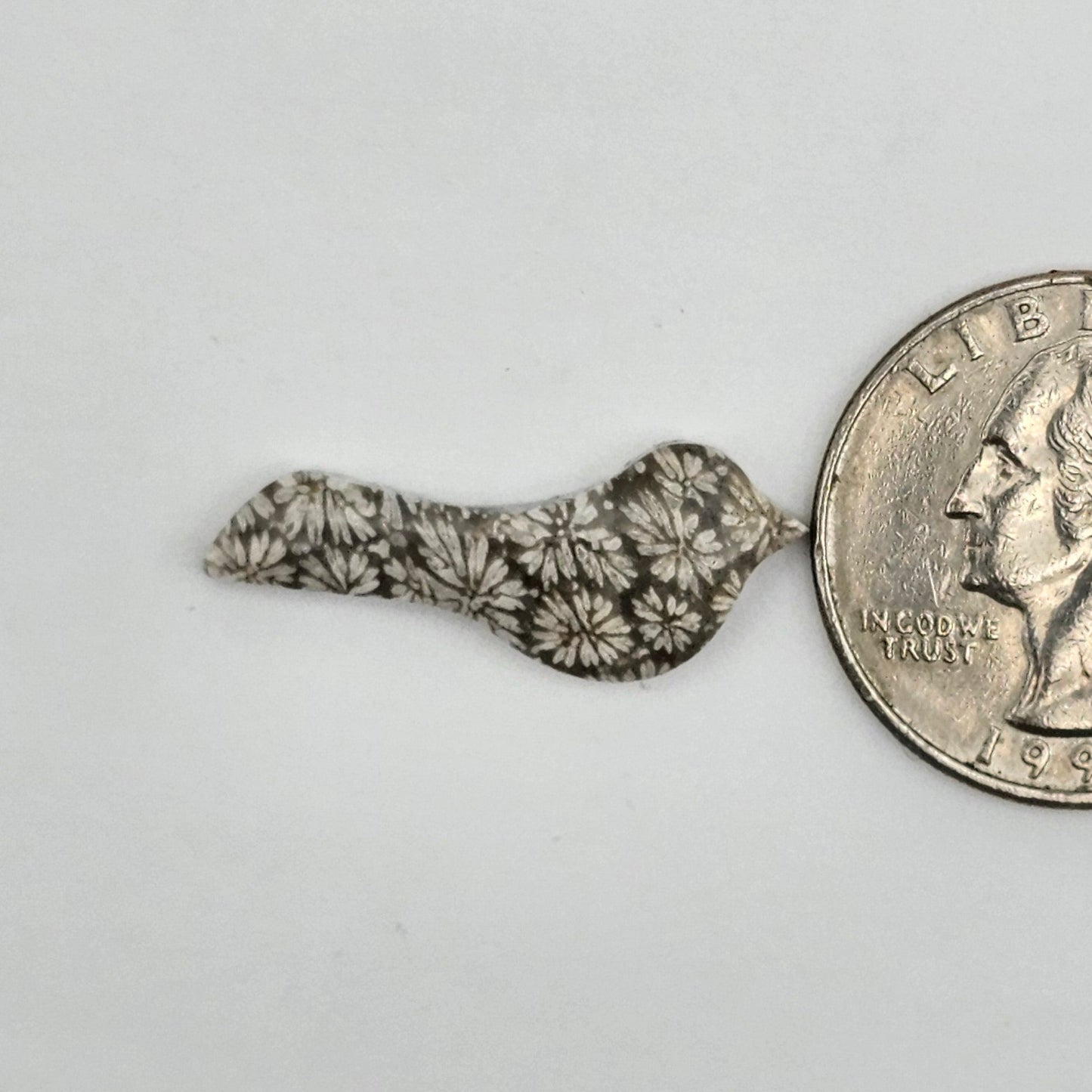 Fossilized Coral Bird Cabochon
