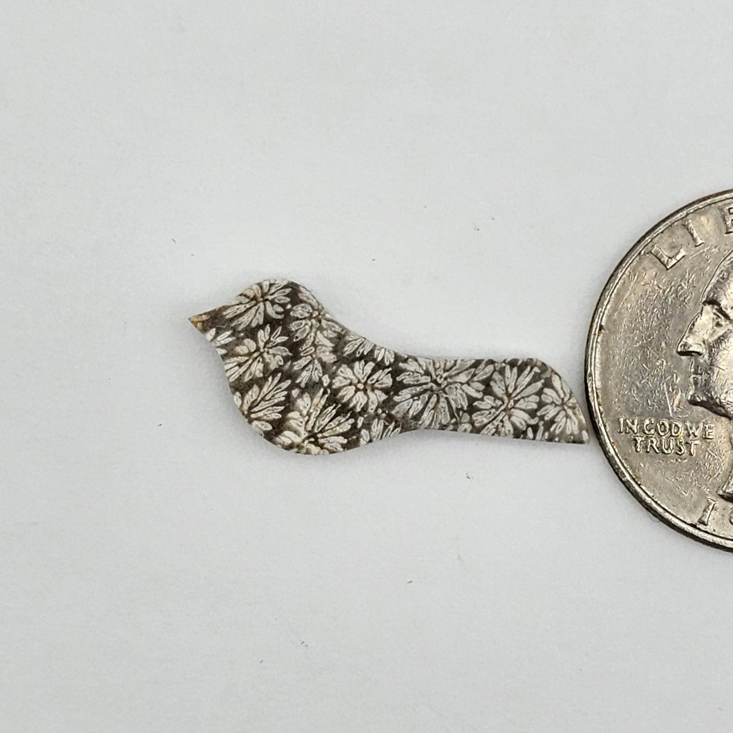 Fossilized Coral Bird Cabochon