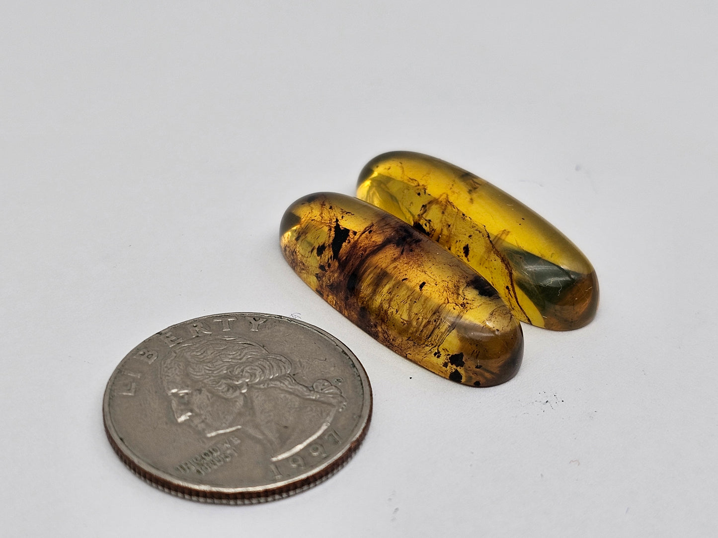 Amber authentic cabochon pair large