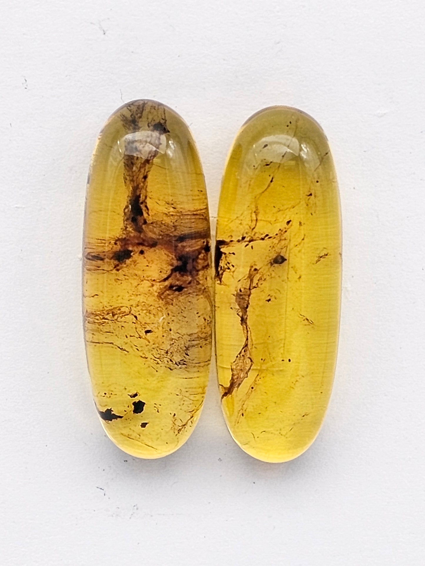 Amber authentic cabochon pair large