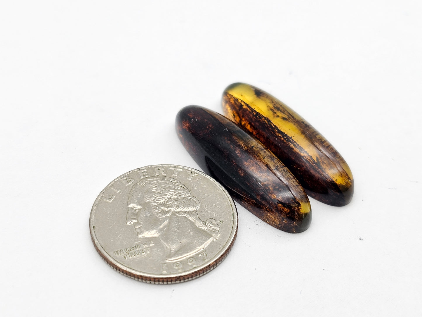Amber authentic cabochon pair large