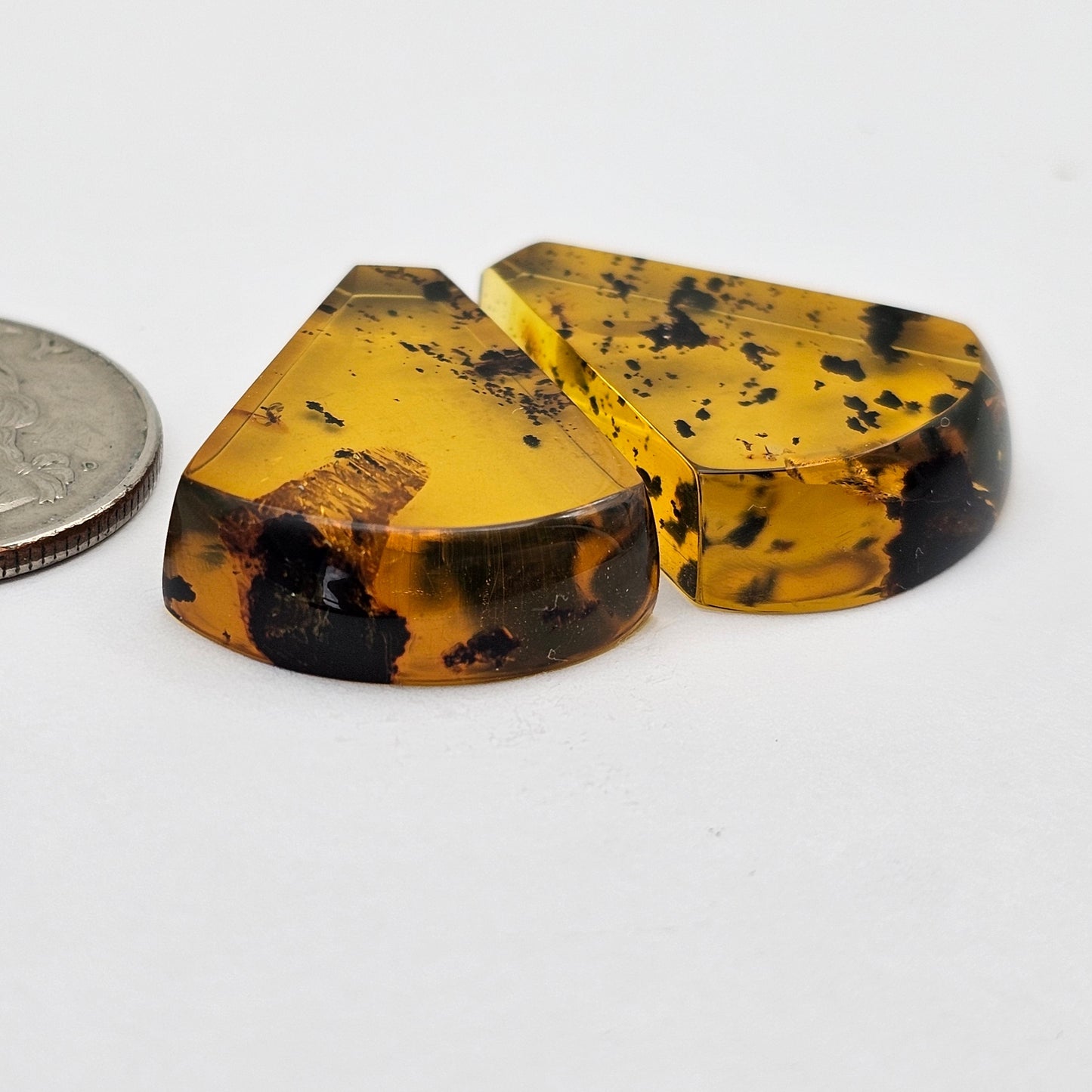Amber authentic cabochon pair large