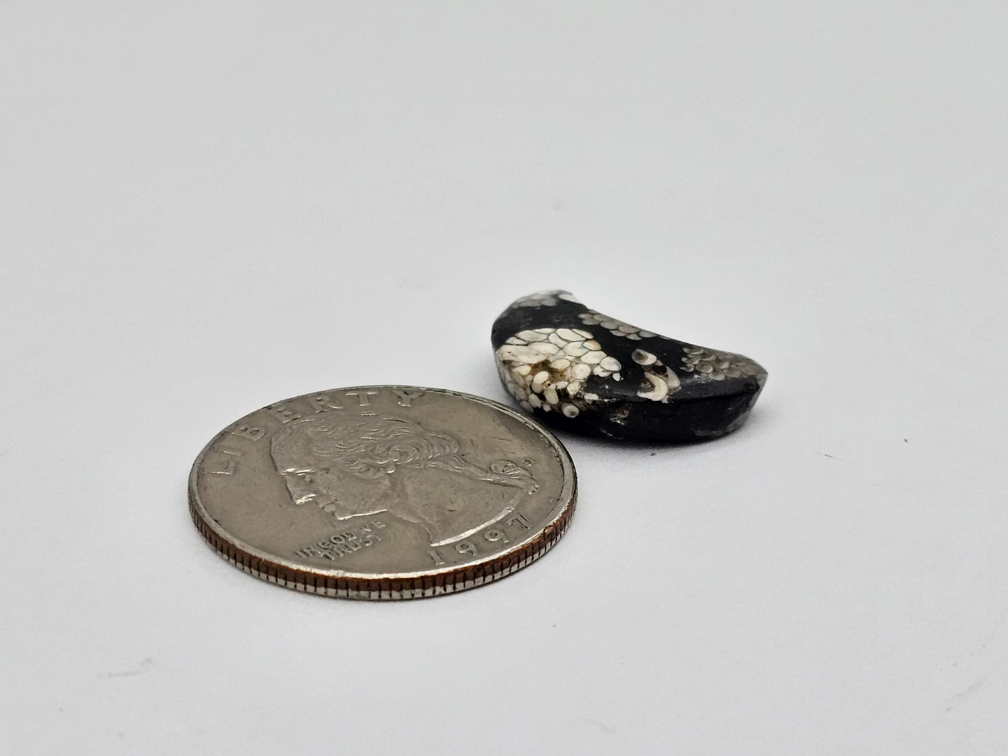 Snake skin agate moon cabochon