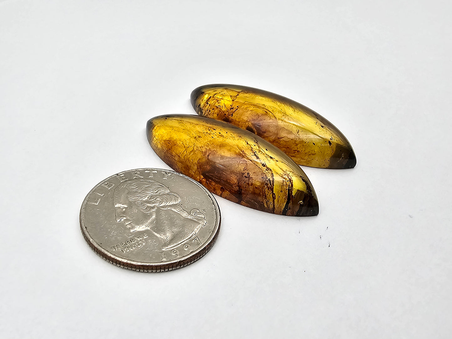 Amber authentic cabochon pair large