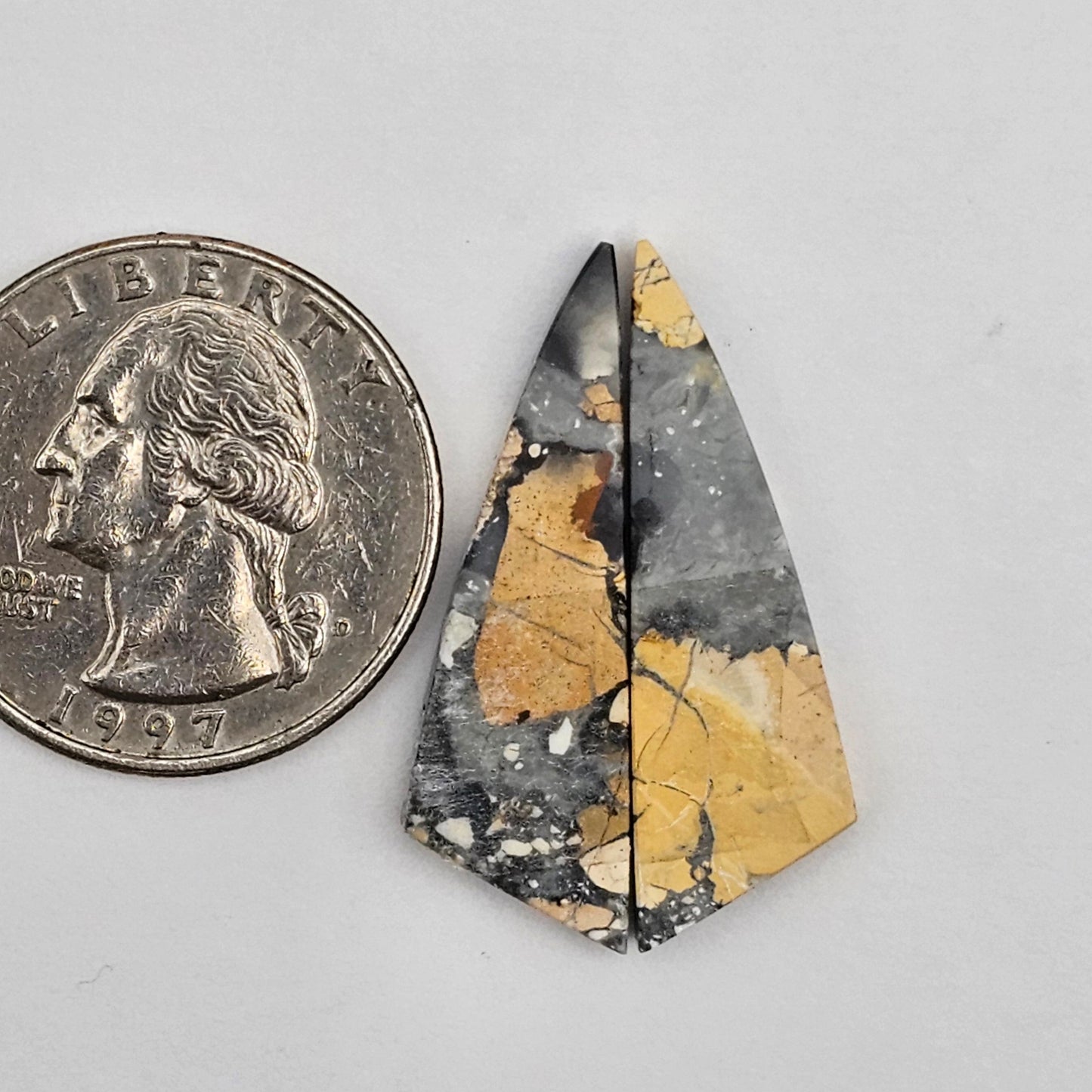 Maligano Jasper cabochon pair