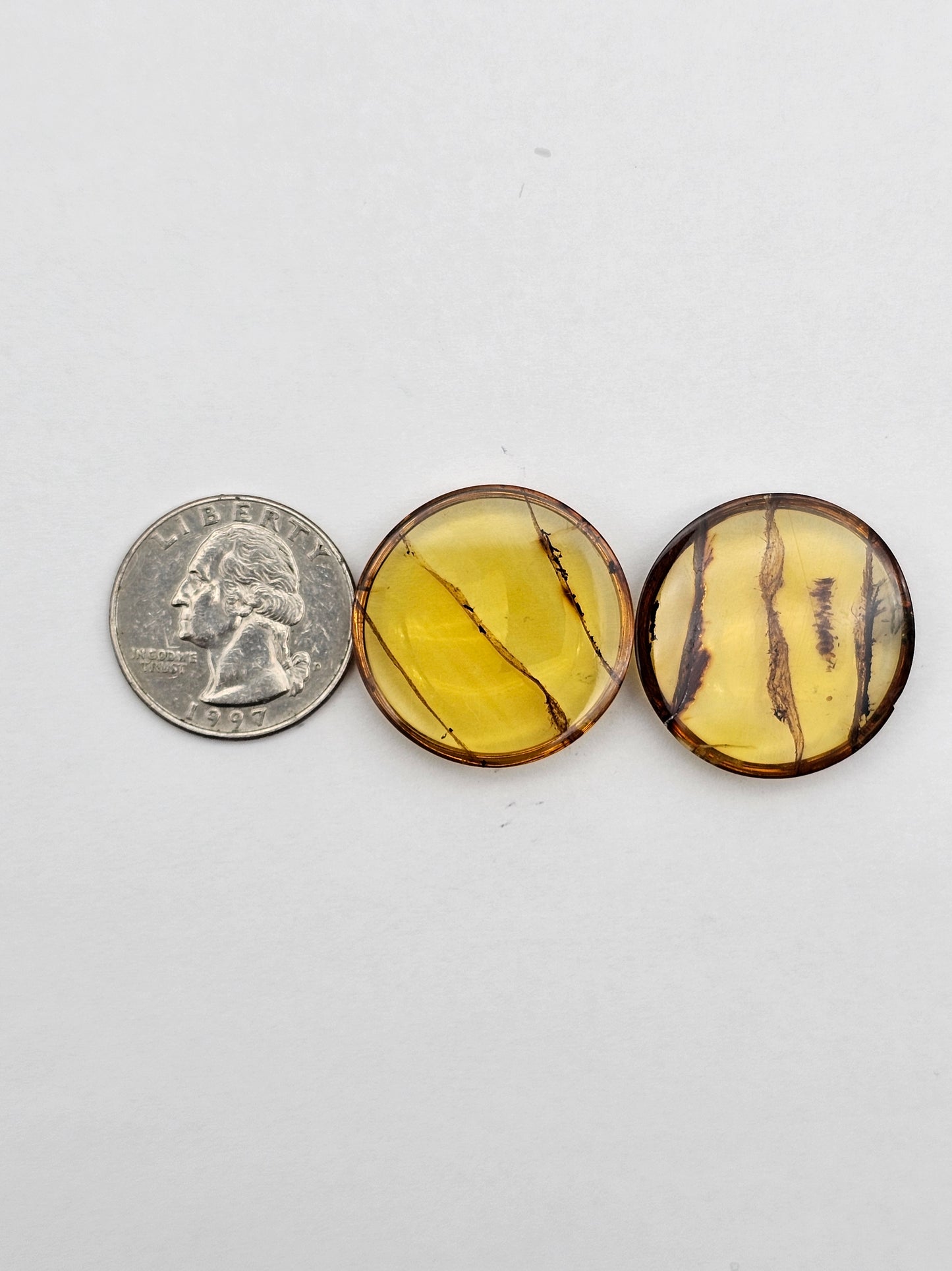 Amber authentic cabochon pair large