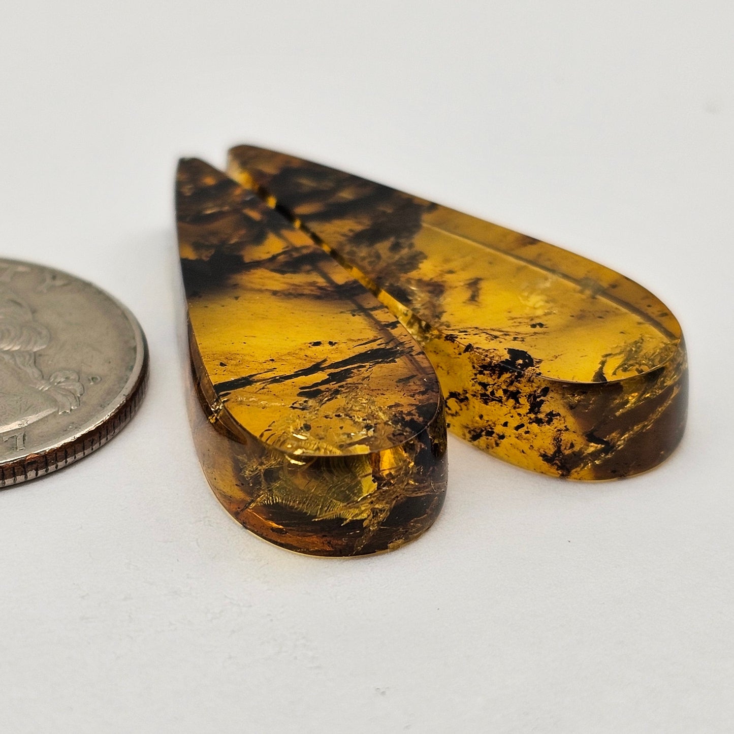Amber authentic cabochon pair large
