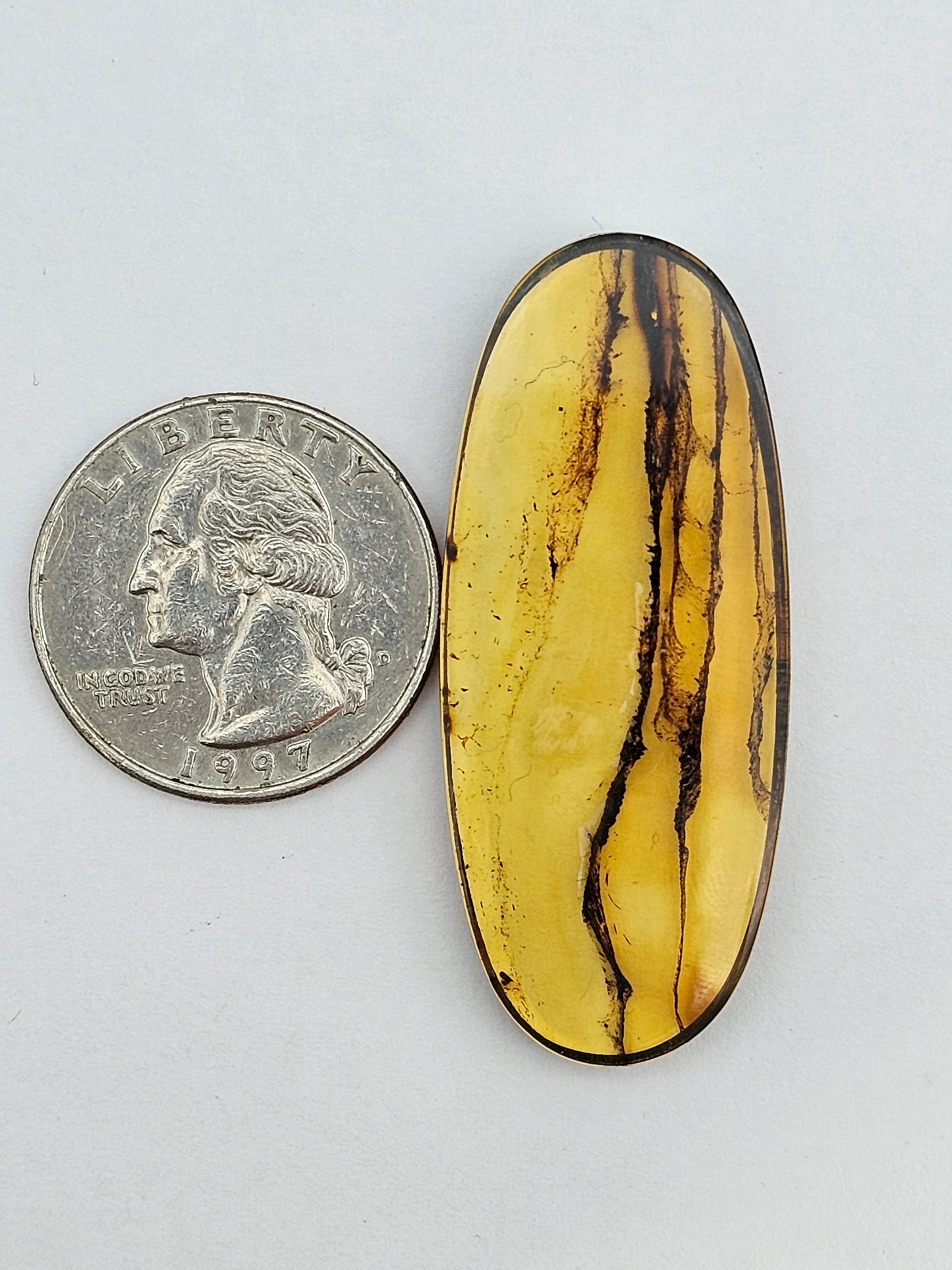 Amber authentic cabochon large
