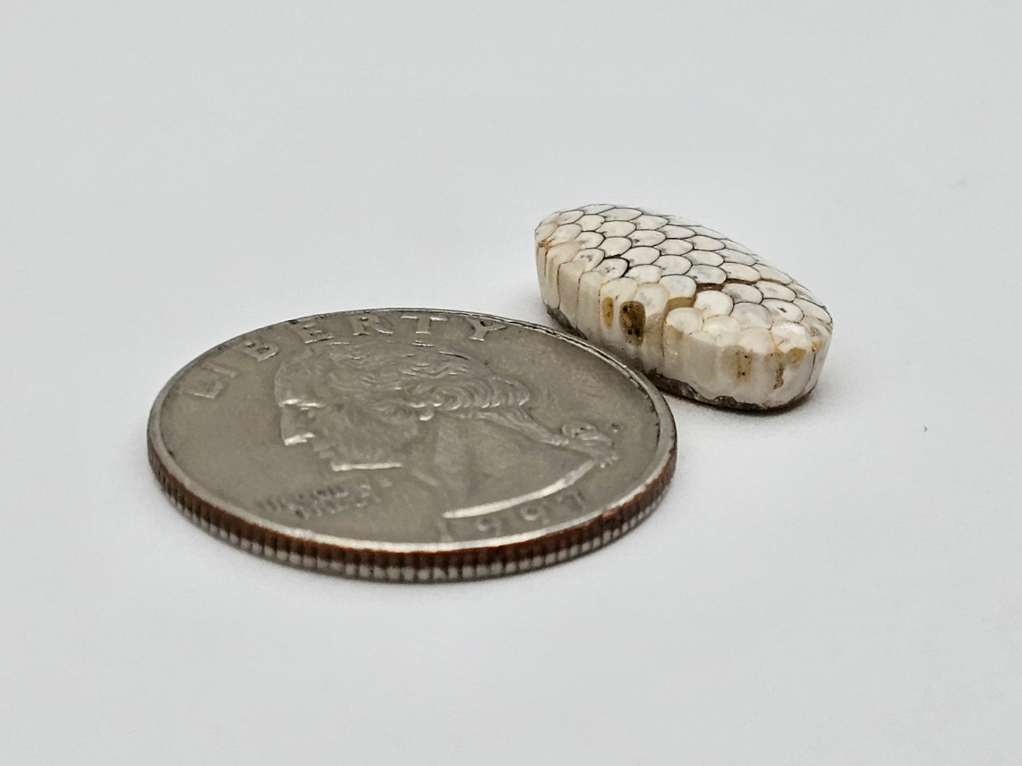 Snake skin agate cabochon