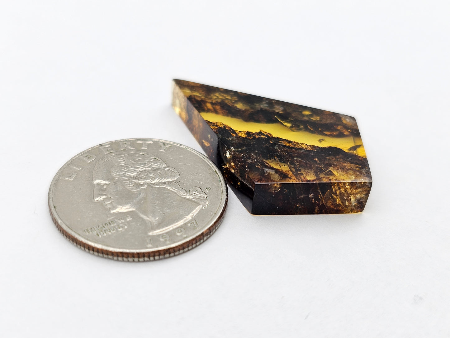 Amber authentic cabochon large