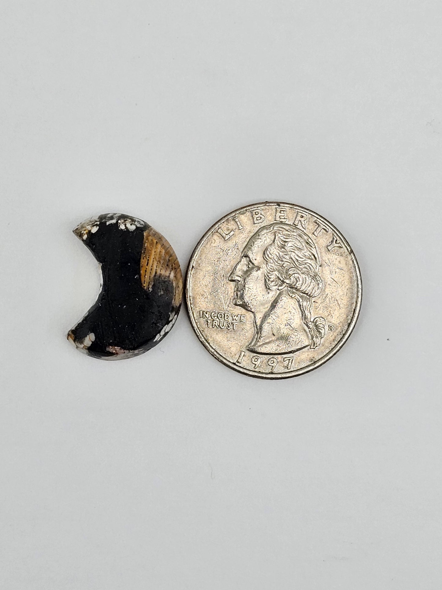 Snake skin agate moon cabochon