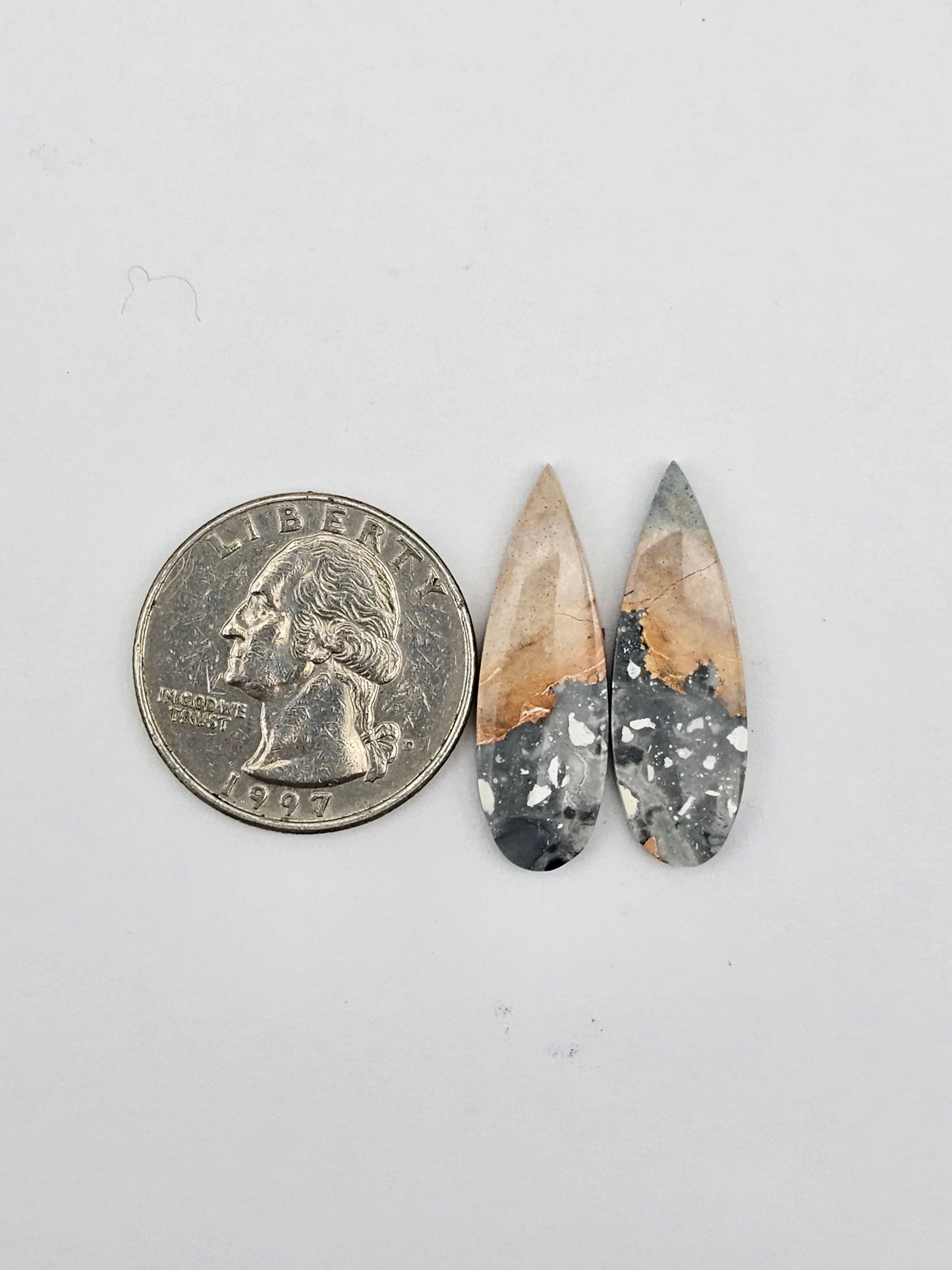 Maligano Jasper cabochon pair