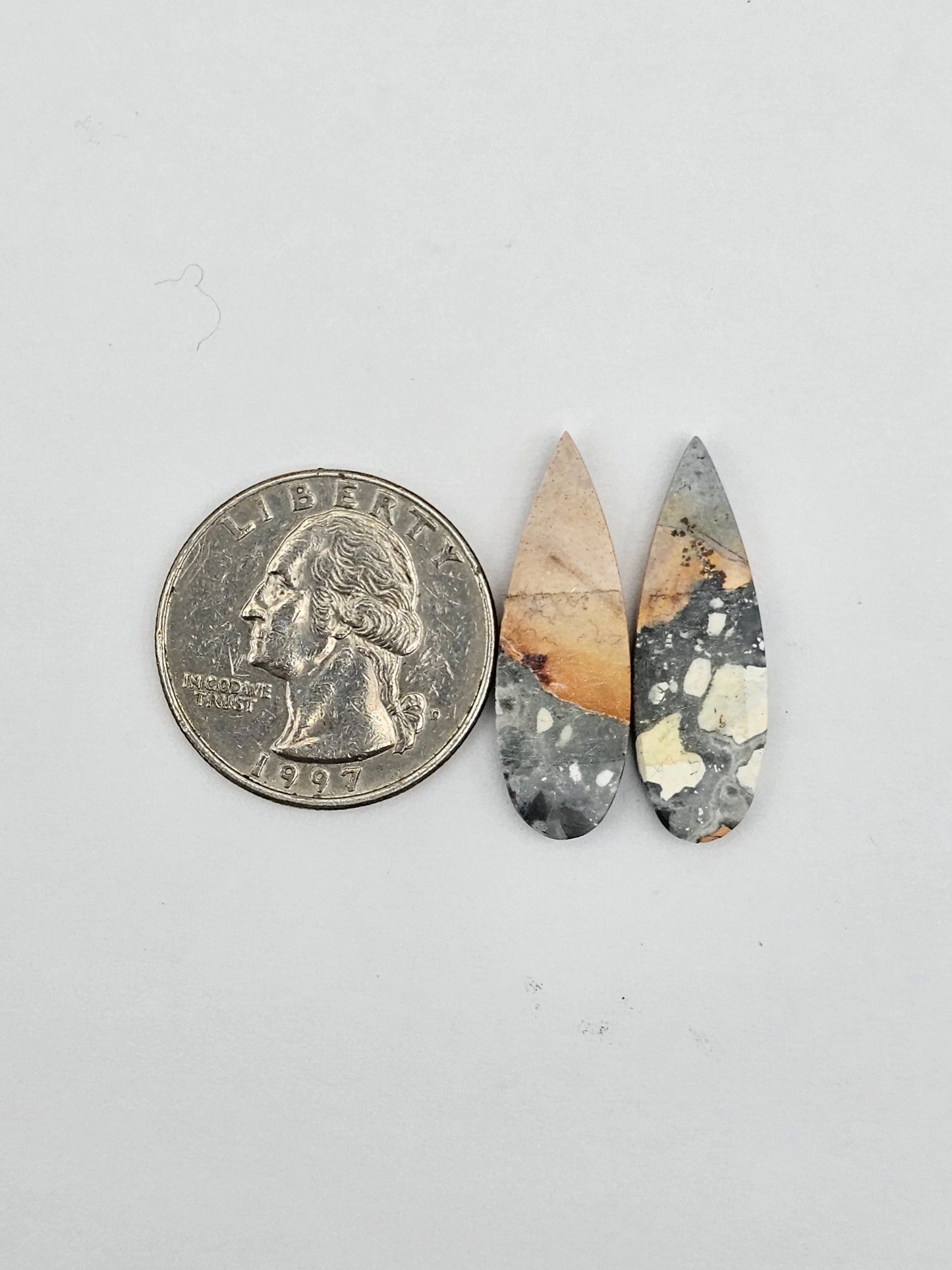 Maligano Jasper cabochon pair