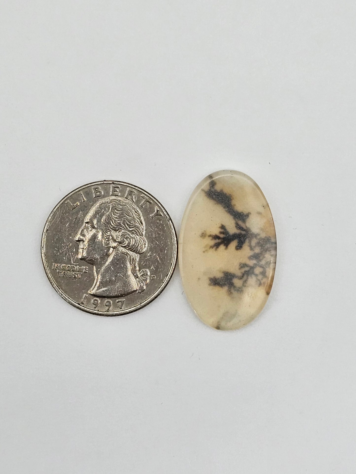 Dentrite agate cabochon large