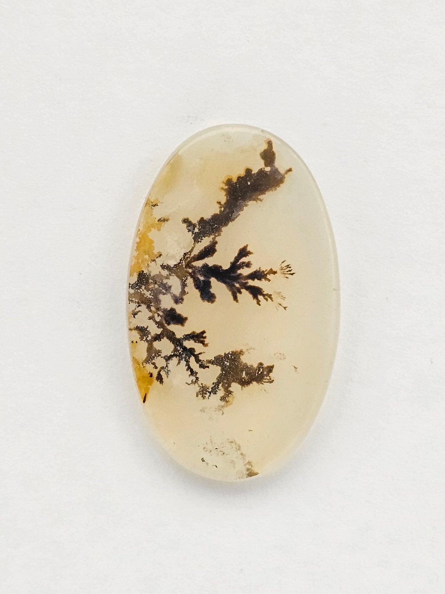 Dentrite agate cabochon large
