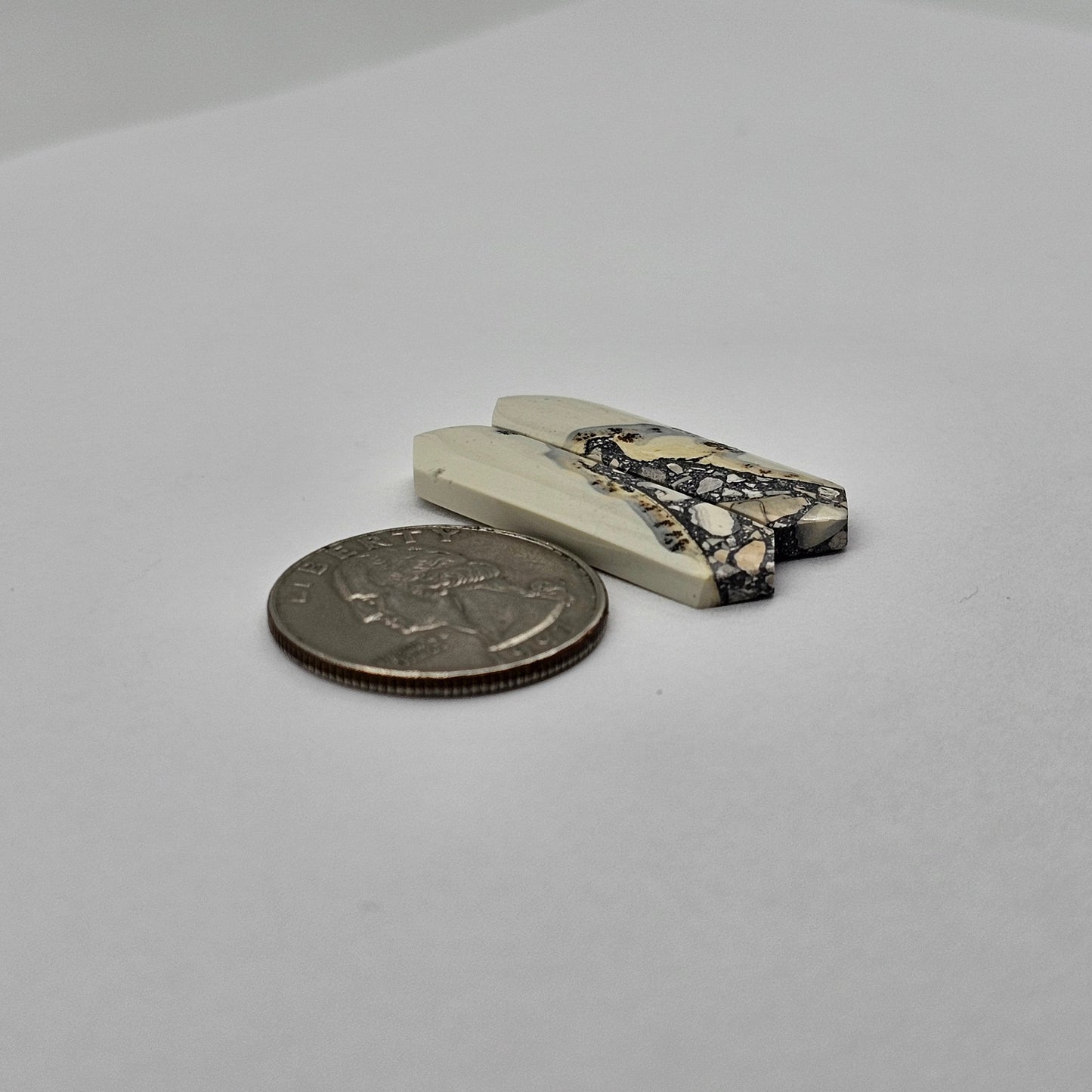 Maligano Jasper cabochon pair