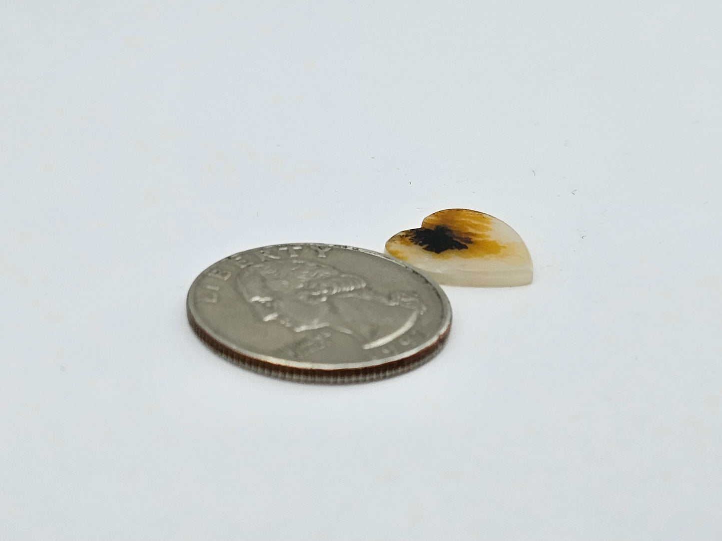 Dentrite agate cabochon large