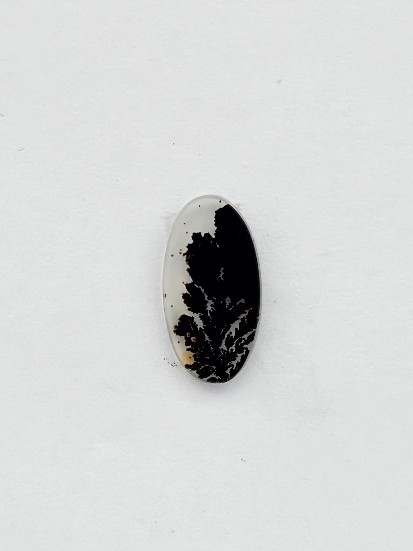 Dentrite agate cabochon large
