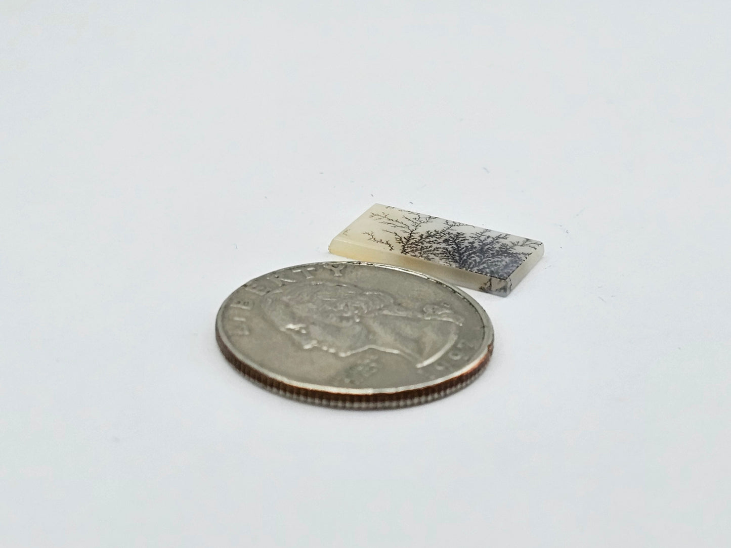 Dentrite agate cabochon large