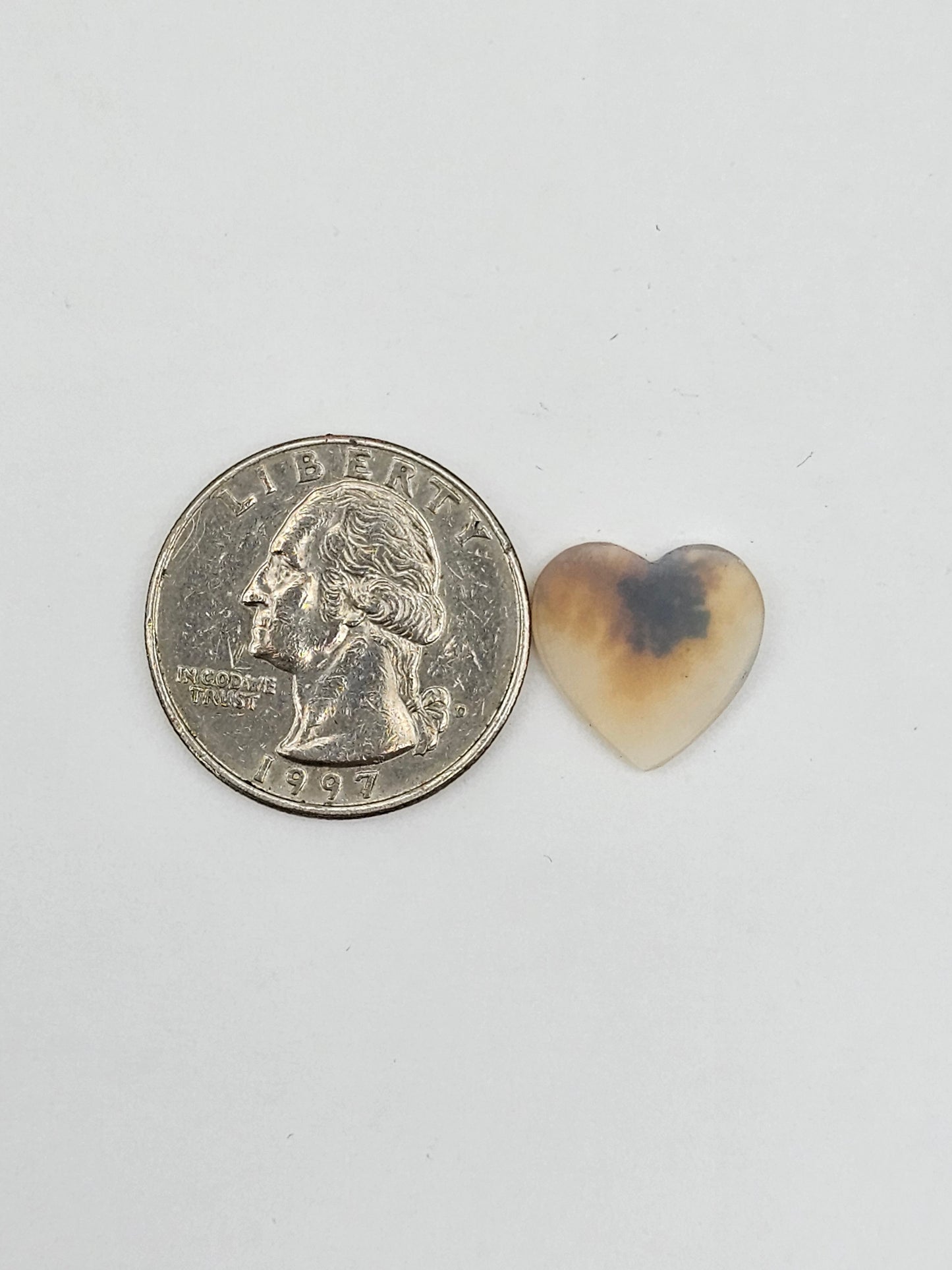 Dentrite agate cabochon large