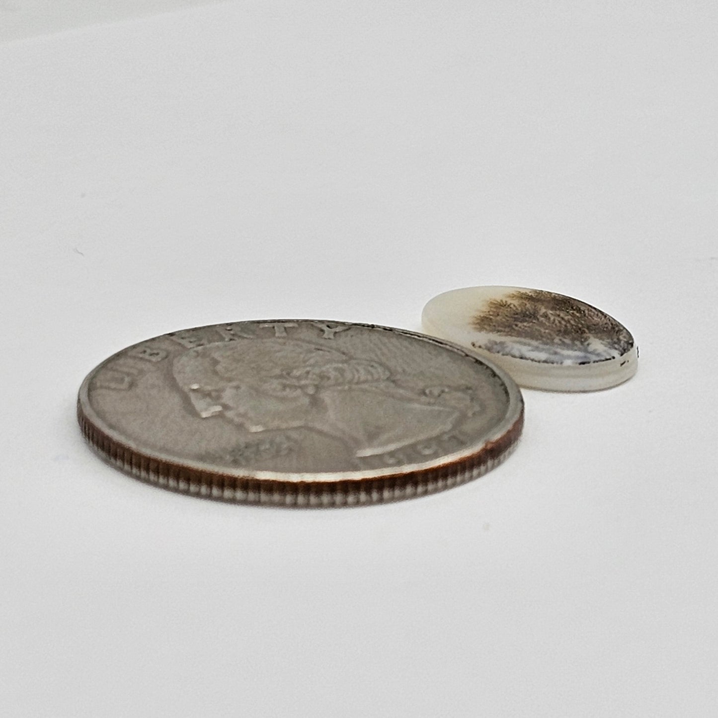 Dentrite agate cabochon large