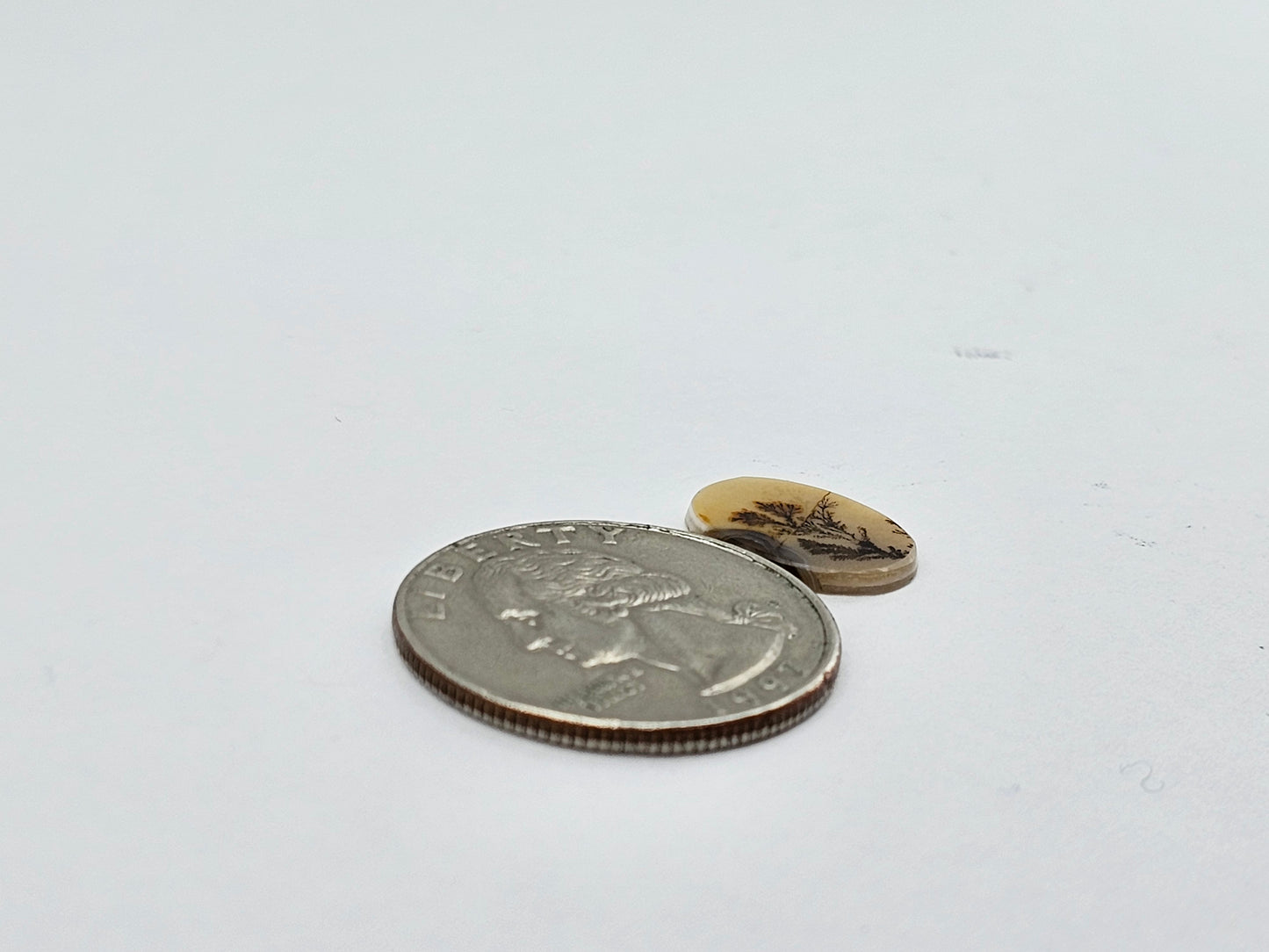 Dentrite agate cabochon large