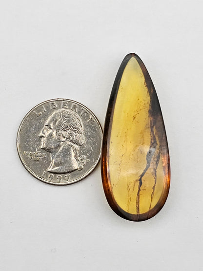 Amber authentic cabochon large