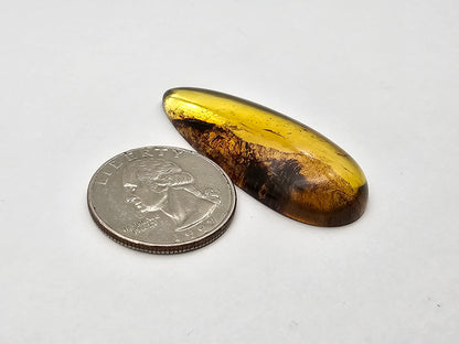Amber authentic cabochon large