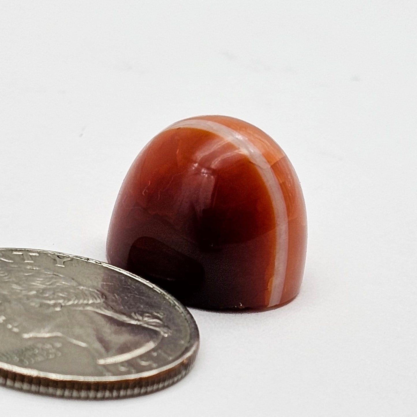 Carnelian Agate Cabochon