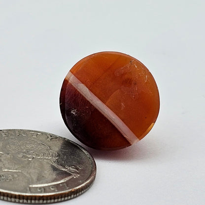 Carnelian Agate Cabochon