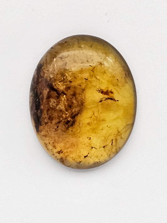 Amber authentic cabochon large
