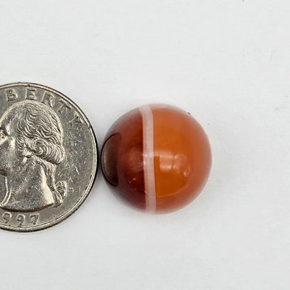 Carnelian Agate Cabochon