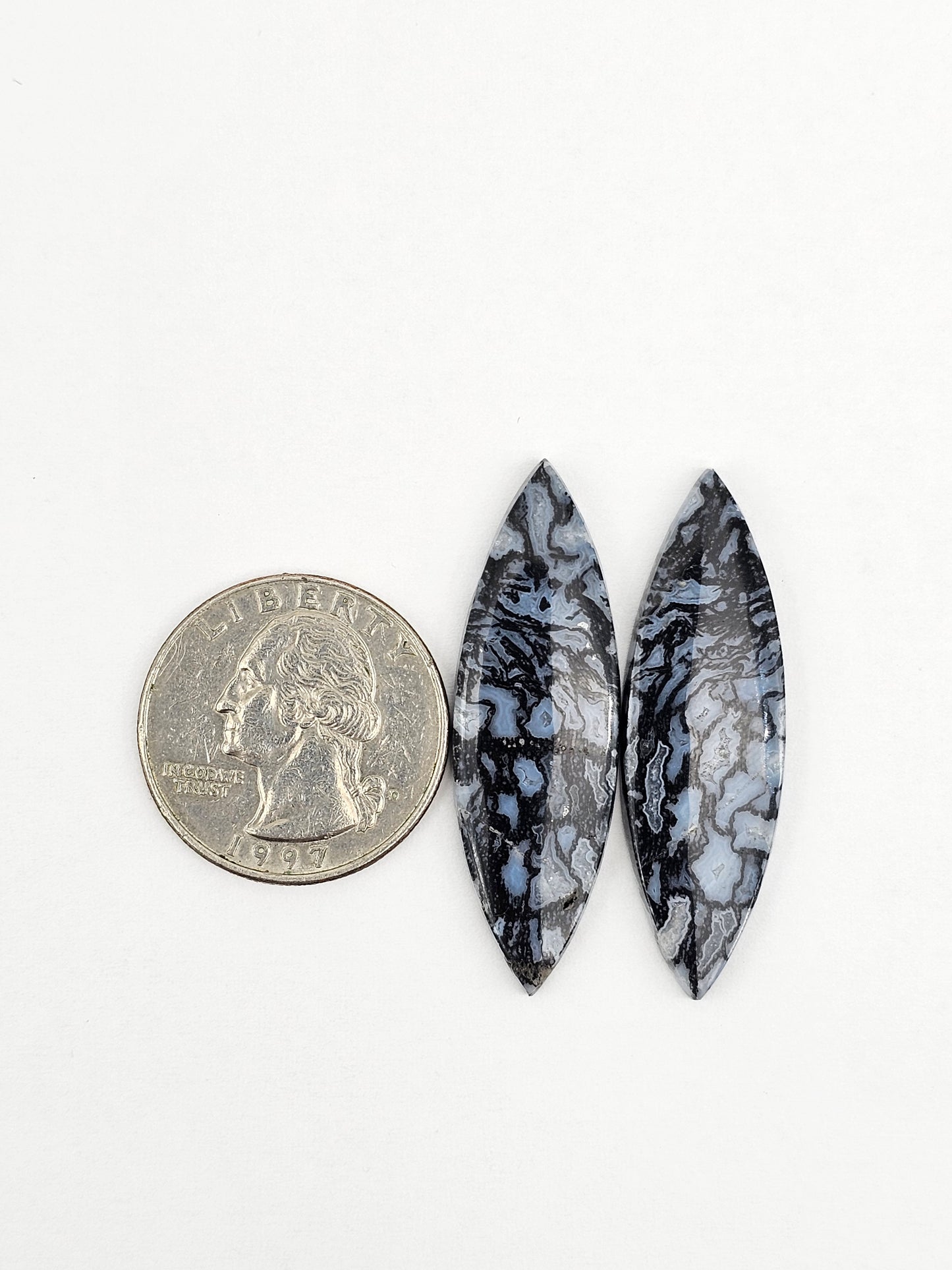 Fossilized dinosaur bone pair