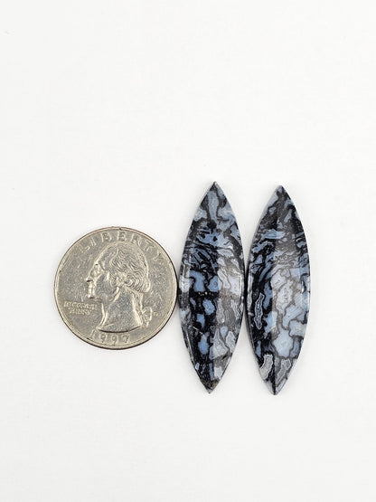 Fossilized dinosaur bone pair