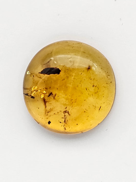 Amber authentic cabochon large