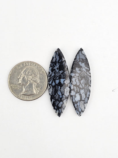 Fossilized dinosaur bone pair