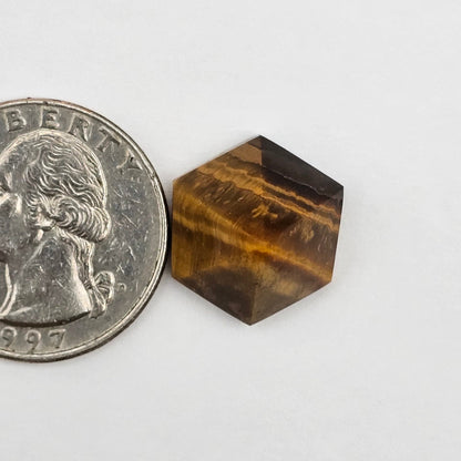 Tiger Eye Geometric Half Faceted Cabochon