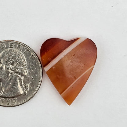 Carnelian Agate Cabochon