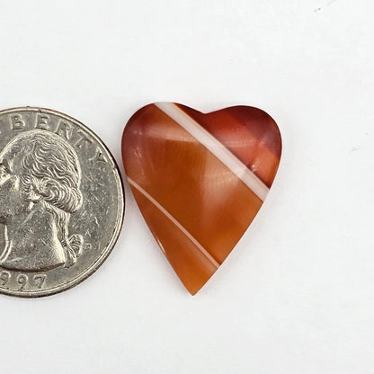 Carnelian Agate Cabochon