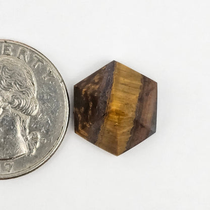 Tiger Eye Geometric Half Faceted Cabochon