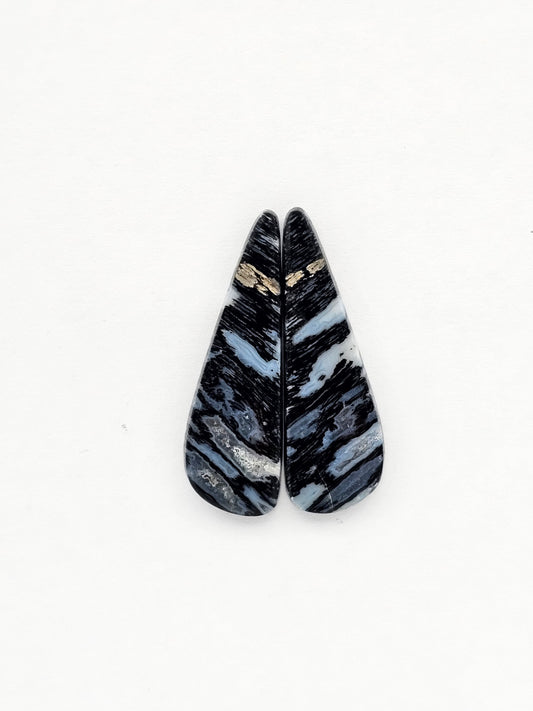 Fossilized dinosaur bone pair