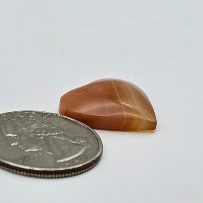 Carnelian Agate Cabochon