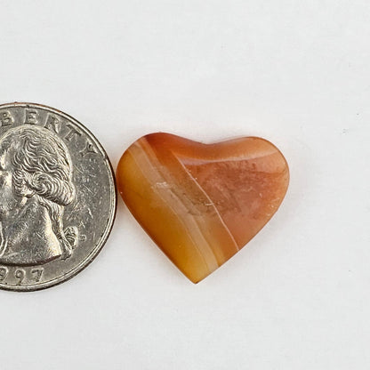 Carnelian Agate Cabochon